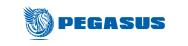 pneus Pegasus